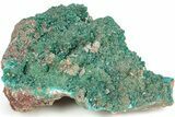 Huge, Sparkling Dioptase Crystal Cluster - N'tola Mine, Congo #209711-4